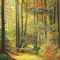 Autumn trail